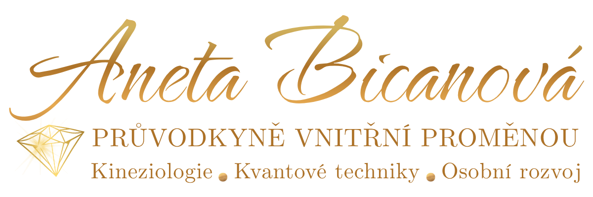Logo Aneta Bicanová